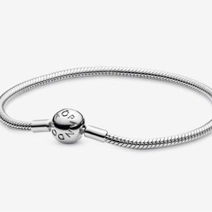 Pandora Snake Chain Bracelet & charm (Can be purchased without the charm)